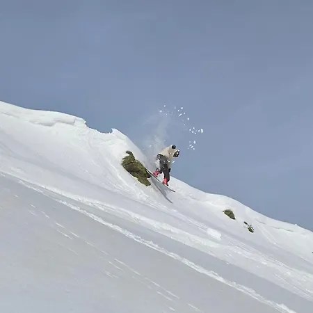 Zillertal Alpenblick アパート *